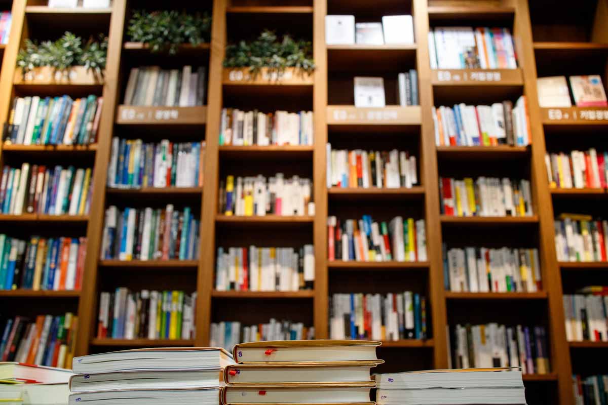 loads of books on a bookshelf